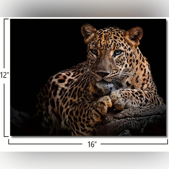 Leopard Wall Art Handcrafted Canvas Oil Painting 12X16 - Picture 3 of 4